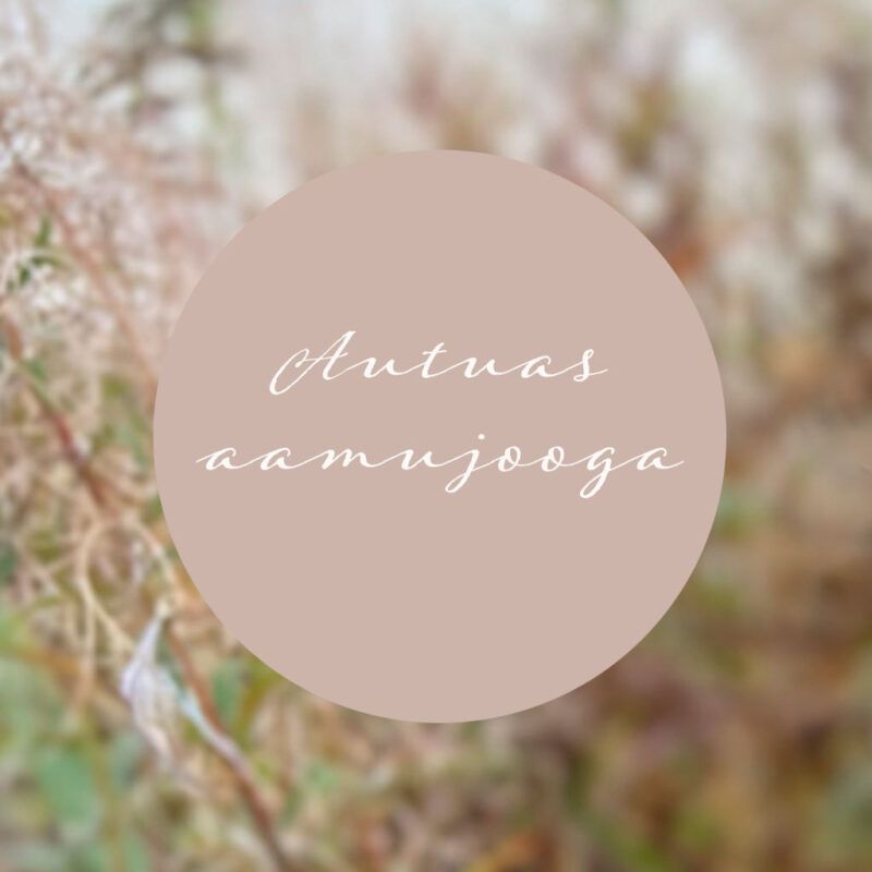 Autuas aamujooga Theodorin puistossa